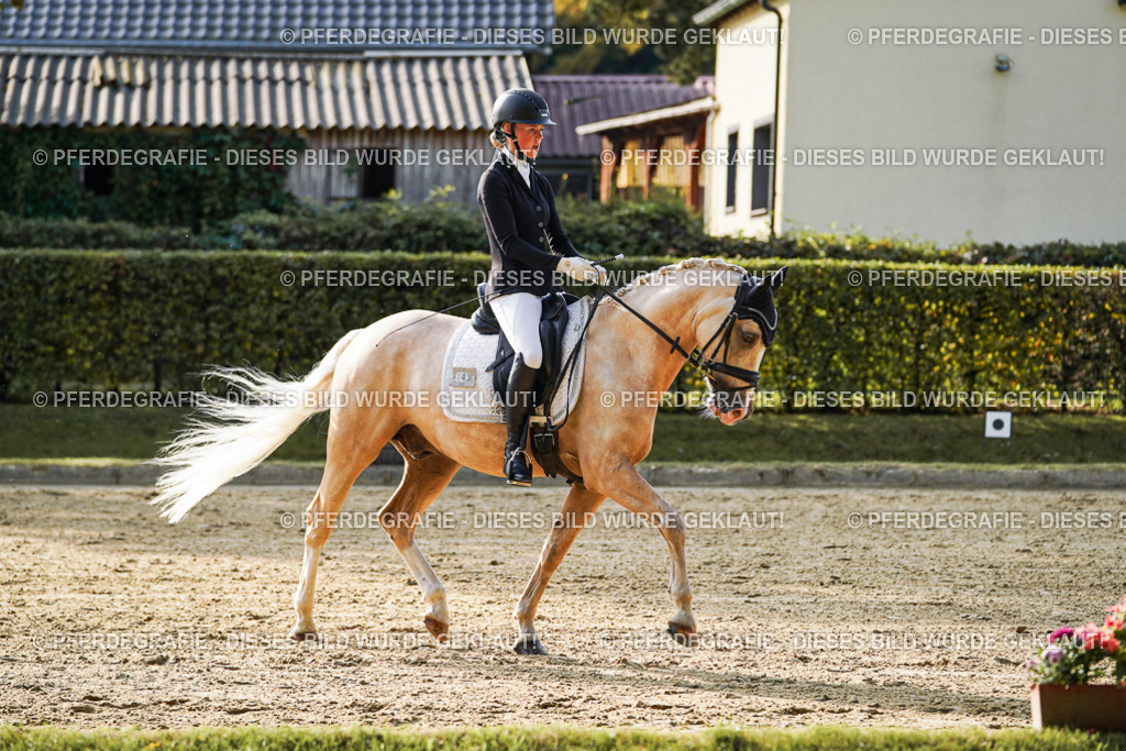 DSC04907 | Pferdegrafie