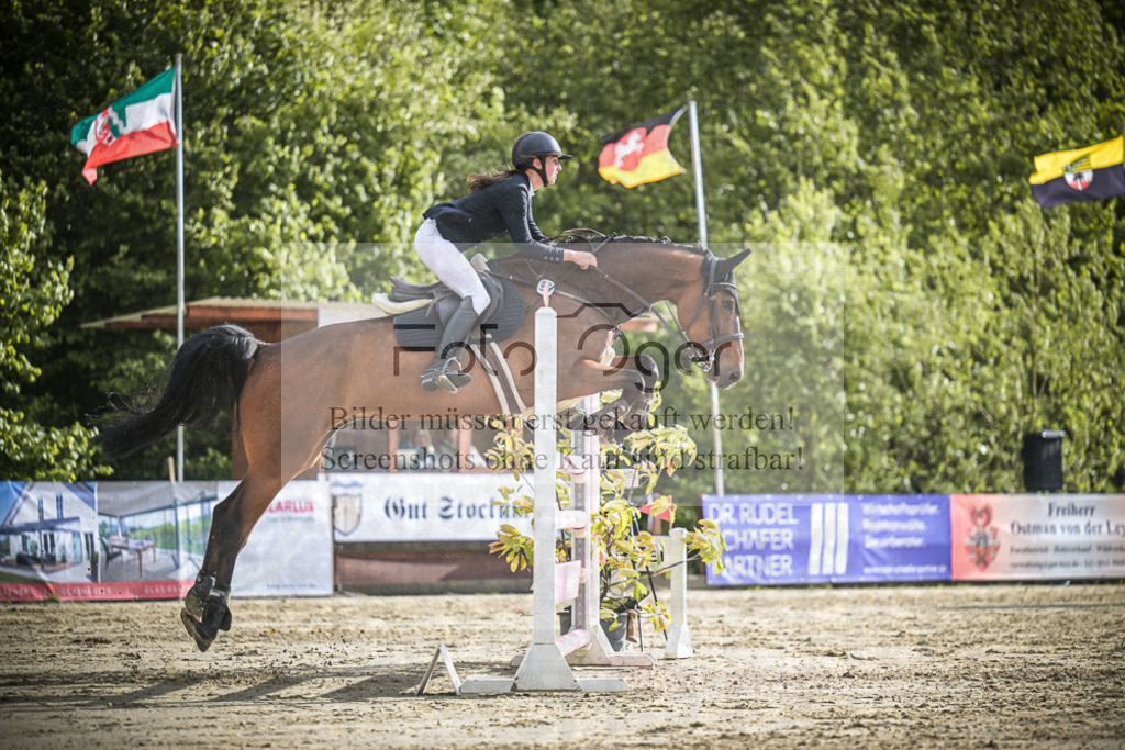 DOS_0050 | Entdecke hochwertige Reitturnierfotos von Foto Oger. Professionell, emotional und authentisch – jetzt Lieblingsmomente im Shop bestellen.Deutschlandweite Turnierfotografie. - Realisiert mit Pictrs.com