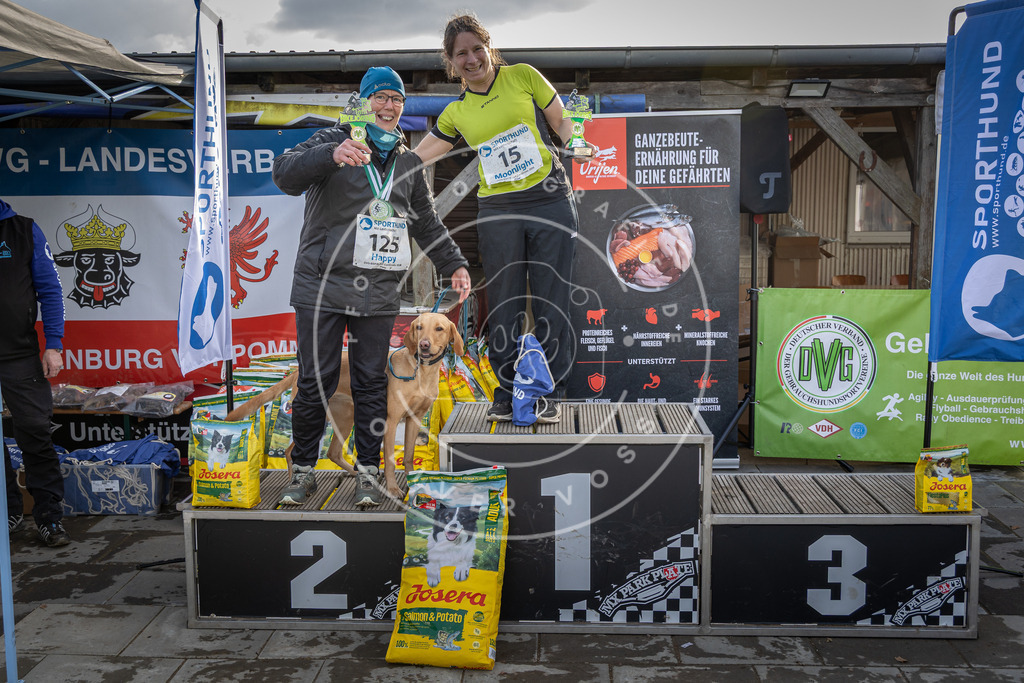 0L8A9142 | Hundefotografie, Tierfotograf, Pfotenfotografie, Fotoshooting Hund, Hunde Portrait, Hundesport, Hundeportraits, Heideshooting, Hunde, Sportfotograf, Hundefotograf, Turnierhundsport, THS,  - Realisiert mit Pictrs.com