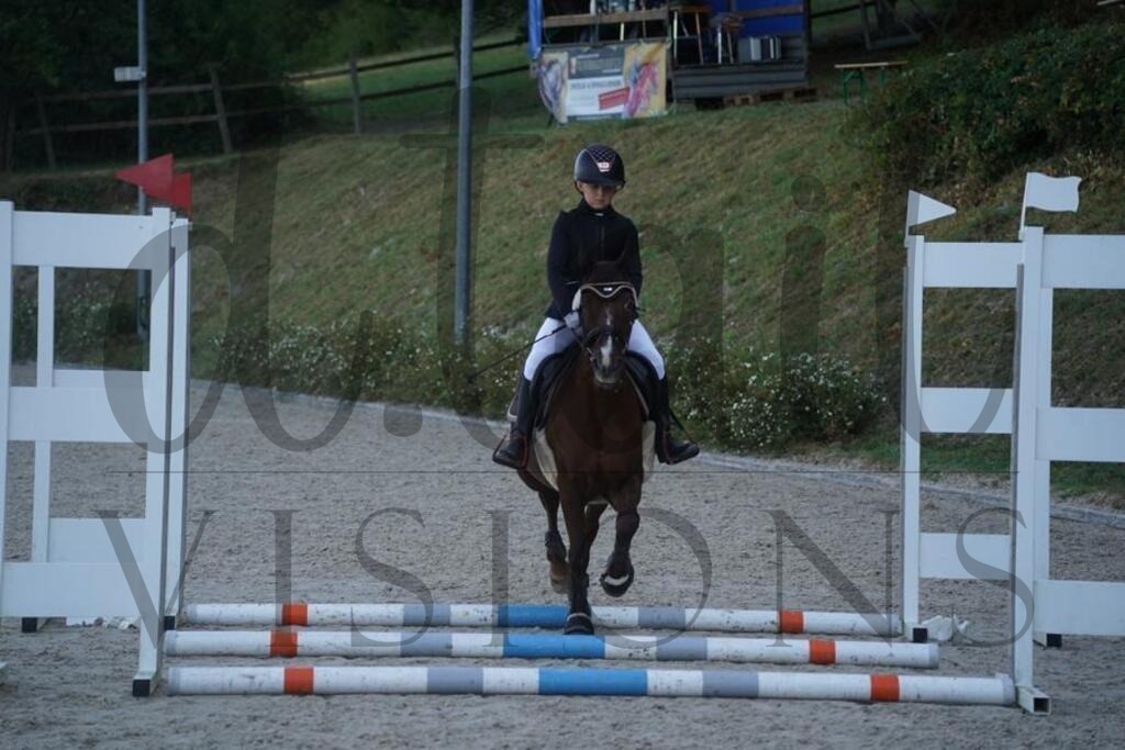 tgbhsonntag (108) | d.tail Visions - Shop - Realisiert mit Pictrs.com