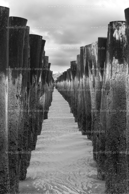Holzpfähle im Meer bei Wissant VII | Gesehen in der Normandie