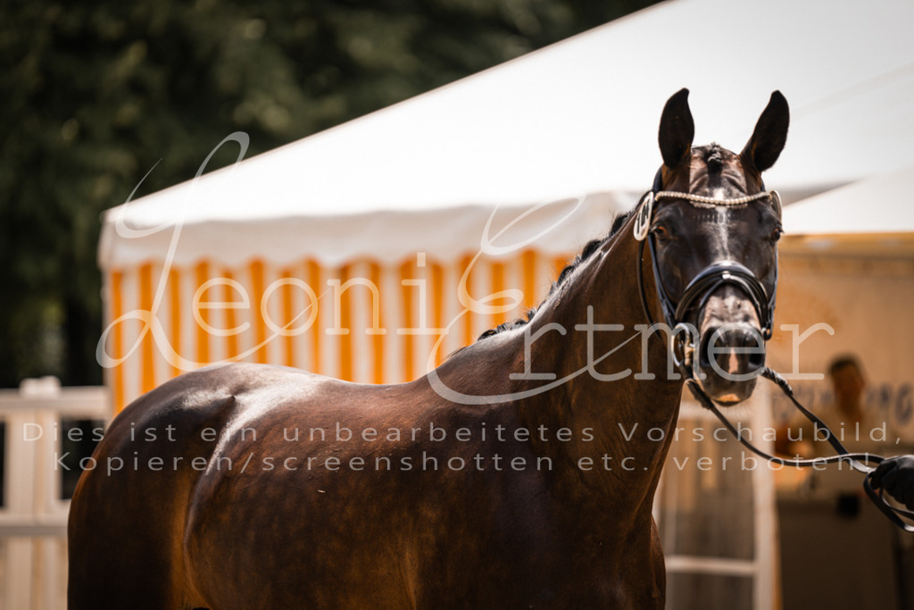 2. Fr00207 | Leoni Ertmer Photography - Realisiert mit Pictrs.com