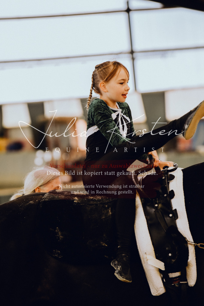 DSC_6888 | Pferde- und Turnierfotografie in Westsachsen. Pferdeportraits, Auftragszeichnungen und intuitive Kunst.