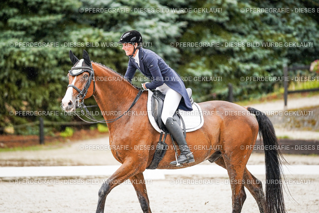 DSC08701 | Pferdegrafie