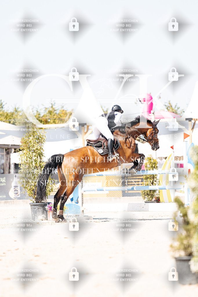 CK909618 | Turnierfotografie Pferdefotografie Trier Rheinland-Pfalz Pferdesport Reitsport Tierfotografie Sportfotografie Pferdevideo Pferdevideografie Equestrianvideography equestrianphotography  - Realisiert mit Pictrs.com
