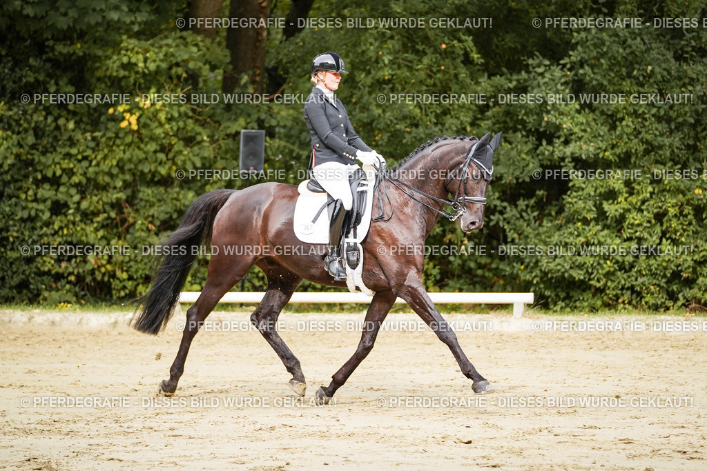 DSC02202 | Pferdegrafie