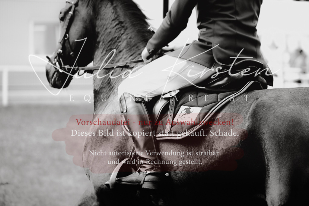 DSC_0620 | Pferde- und Turnierfotografie in Westsachsen. Pferdeportraits, Auftragszeichnungen und intuitive Kunst.