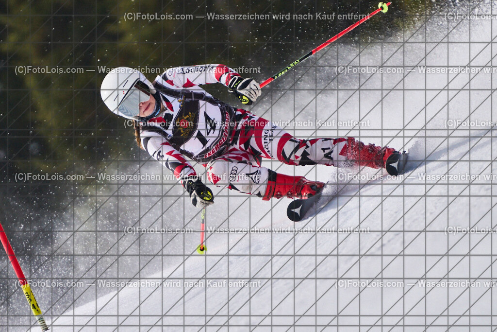 ALP0214_Steir-Meistersch_SG_Reiteralm_WILLE Martina | LM-Super-G Steiermark auf der Reiteralm am Fr 28. März 2025.   Veranstalter: Steirischer Skiverband (5000)Durchführender Verein: WSV Pichl-Reiteralm (5083)