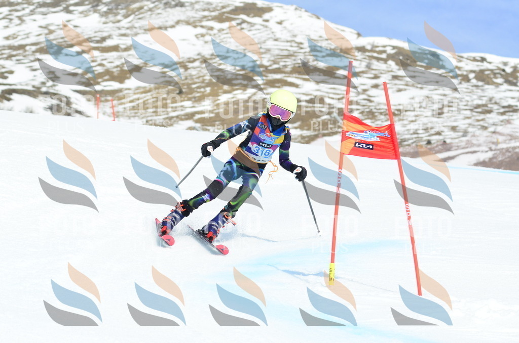 _ELE2434 | holidayphoto