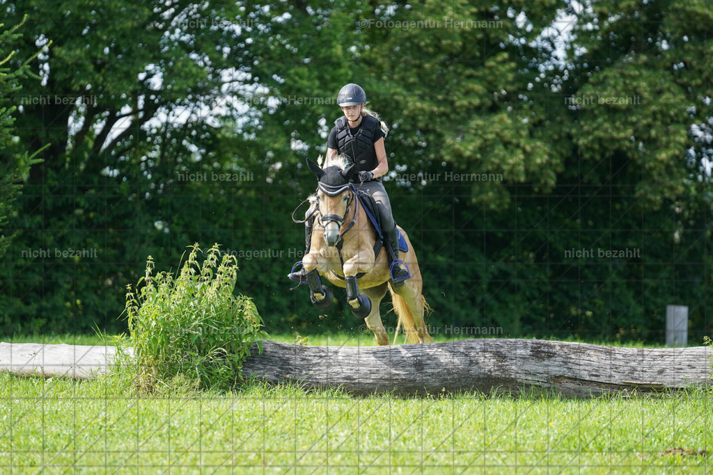 20240622-FAH08067 | Turnierfotografen Bayern, Reitsportbilder aus dem Geländekurs mit Felix Etzel auf dem Gut Waitzacker 2024