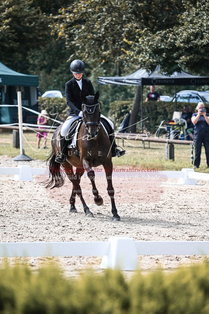 DSC_5263 | Pferde- und Turnierfotografie in Westsachsen. Pferdeportraits, Auftragszeichnungen und intuitive Kunst.