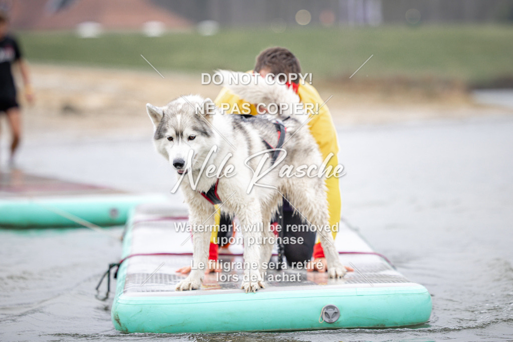 nelerasche_Hulsbeek_Sa1030-1100_297 | nelerasche