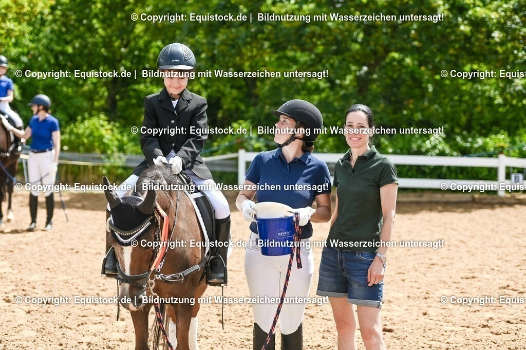 20230716_11_Führzügel-WB_0113 | equistock