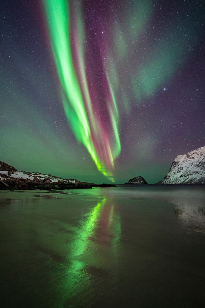 Nordlichter über Haukland – Lofoten, Norwegen | Am Haukland Strand auf den Lofoten tanzen grüne und violette Polarlichter über dem nächtlichen Himmel. Die Spiegelung im nassen Sand macht das Winterbild zu einem echten Blickfang – kraftvoll, faszinierend und voller Magie. - Realisiert mit Pictrs.com