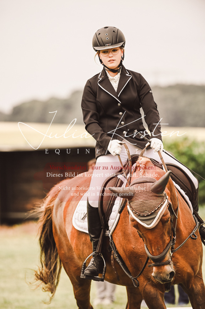 DSC_4851 | Pferde- und Turnierfotografie in Westsachsen. Pferdeportraits, Auftragszeichnungen und intuitive Kunst.