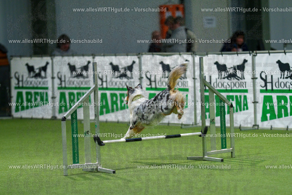 7R504082 | Professionelle Tierfotografie in Mönchengladbach von Daniel Wirth (allesWIRTHgut). Liebevolle & natürliche Bilder von Hunden & Katzen für unvergessliche Erinnerungen.