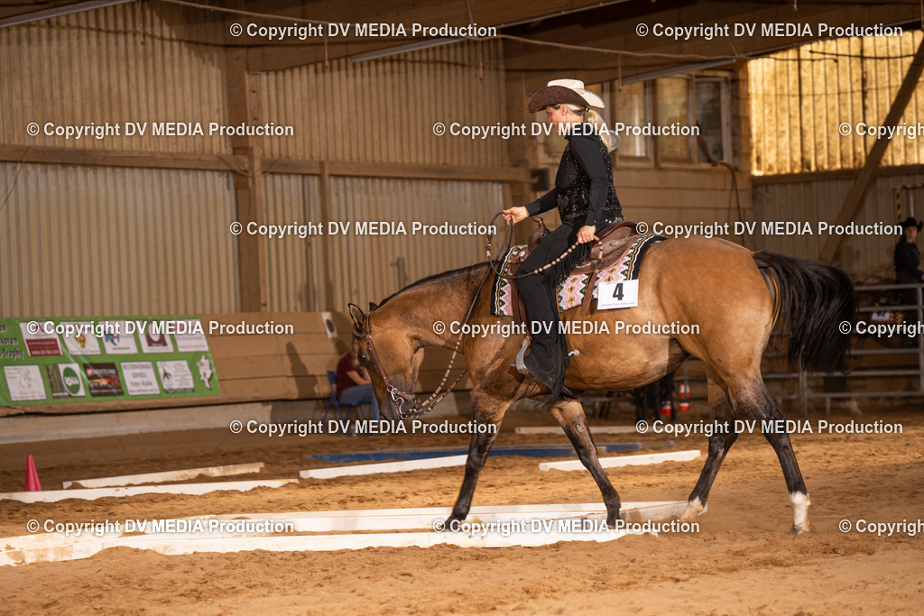 NID00619 | dv-media-shop - Realisiert mit Pictrs.com