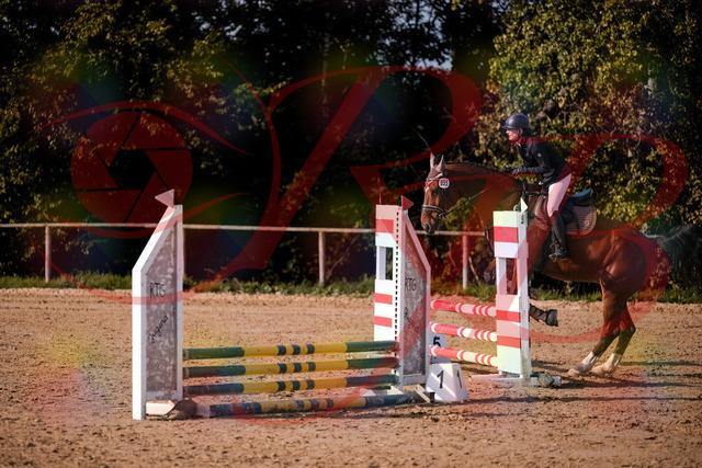 2026_10_03_Siefer-Hof_155618_Z81_75701636 | Professionelle Reitsport-, Turnier- und Eventfotografie von Robert Broda. Galerien mit ausgewählten und bearbeiteten Bildern direkt online ansehen und bestellen.
