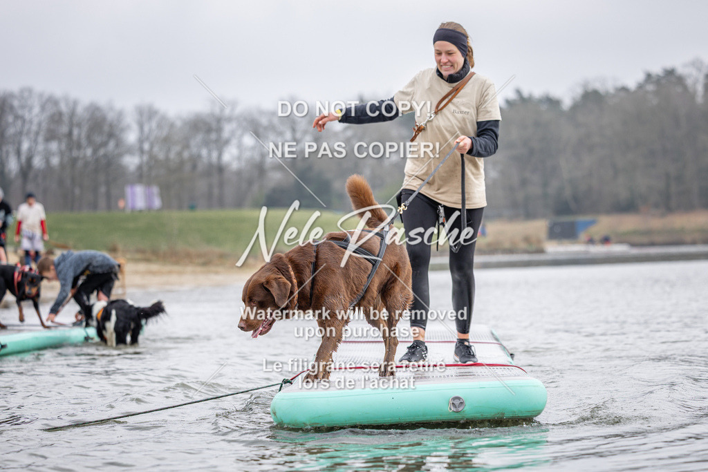nelerasche_Hulsbeek_Sa1230-1330_142 | nelerasche