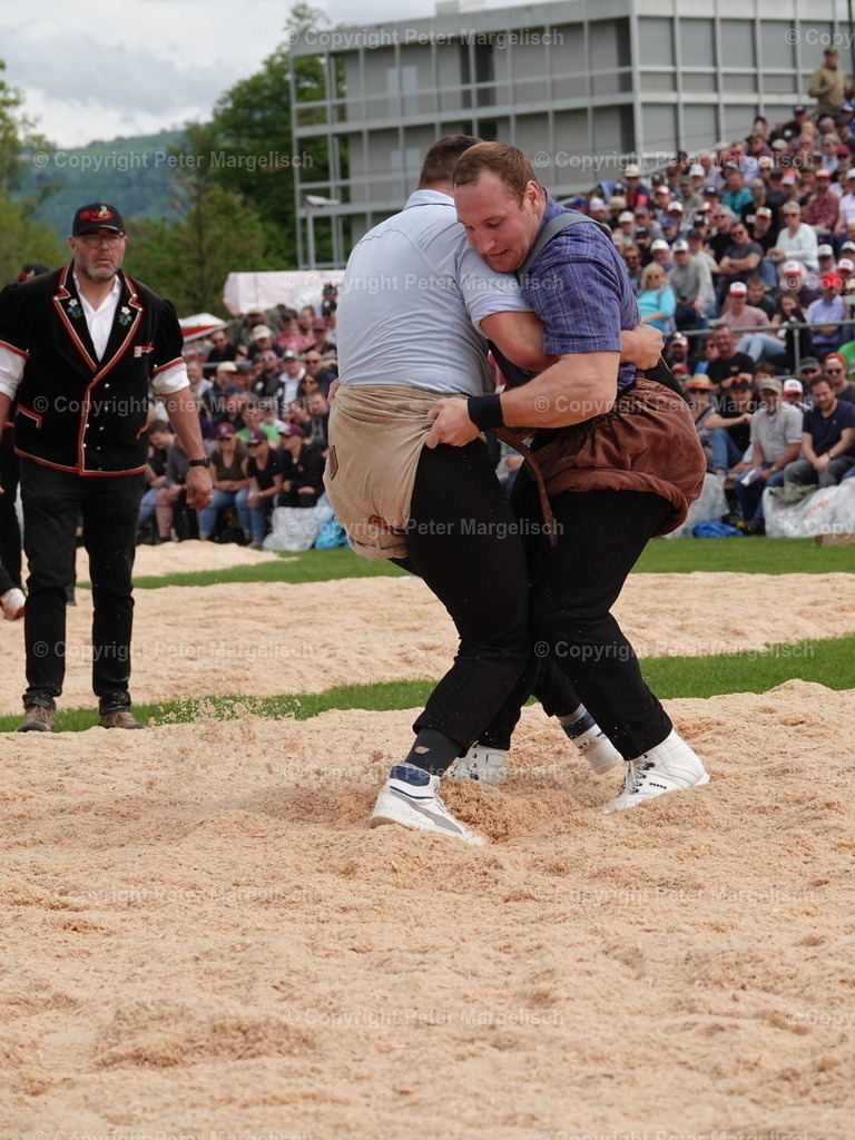 DSC06407 | Schwingen - Realisiert mit Pictrs.com