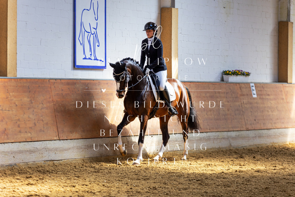 IMGT7448 | pl-fotografie