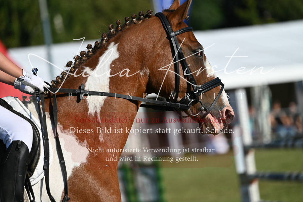 DSC_4904 | Pferde- und Turnierfotografie in Westsachsen. Pferdeportraits, Auftragszeichnungen und intuitive Kunst.