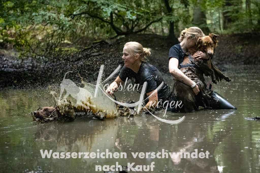 1230_ZZ90895-Bearbeitet | kk-dogfotos