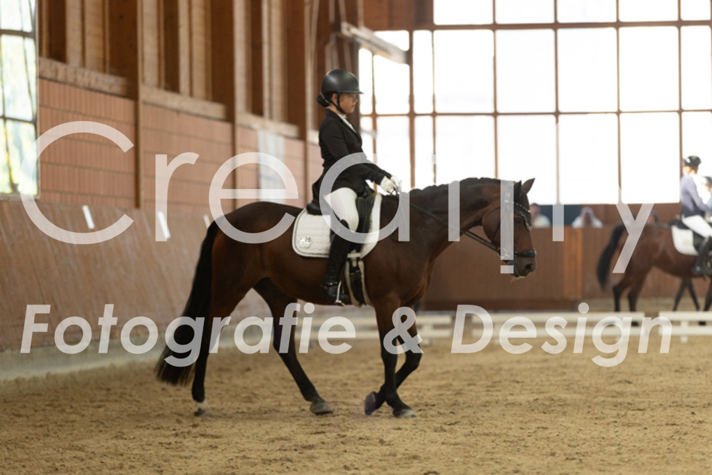 IMG_8258 | Creatify Fotografie