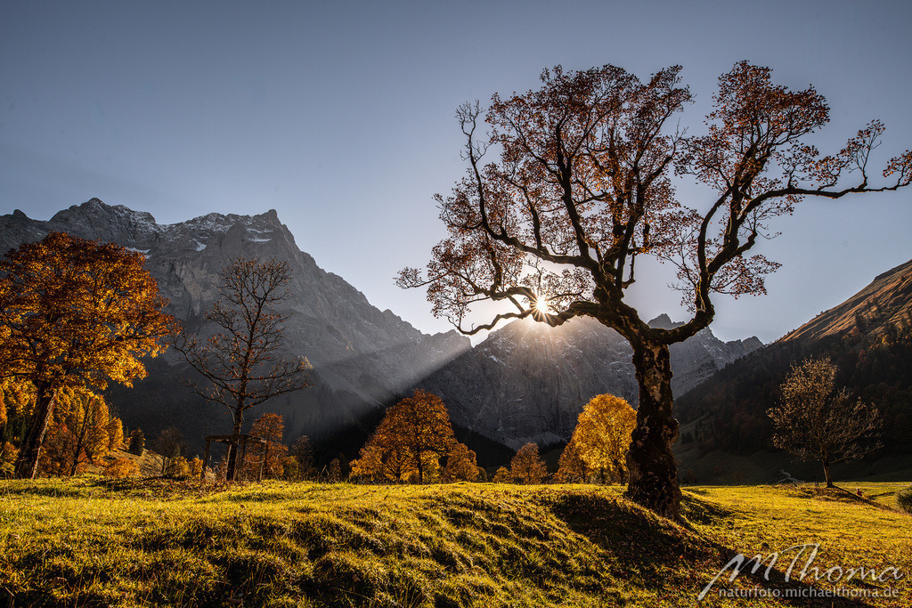 Herbst im Großen Ahornboden | Dies ist der Online-Shop von naturfoto.michaelthoma.de. Ich bin leidenschaftlicher Naturfotograf und fotografiere von der Andromedagalaxie bis zum Zwergtaucher, von der Ameise bis zum Orionnebel alles was mit Natur zu tun hat. Hier kann eine Auswahl meine - Realisiert mit Pictrs.com