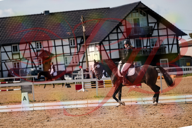 2026_10_03_Siefer-Hof_132124_Z63_82650521 | Professionelle Reitsport-, Turnier- und Eventfotografie von Robert Broda. Galerien mit ausgewählten und bearbeiteten Bildern direkt online ansehen und bestellen.
