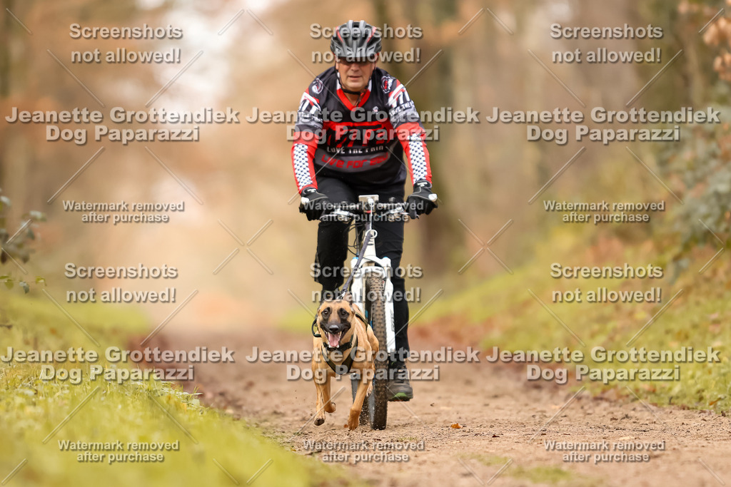 Dog Paparazzi - Speedhunter Mannheim  2025-313 | Dog Paparazzi Jeanette Grottendiek Fotografie & Videografie