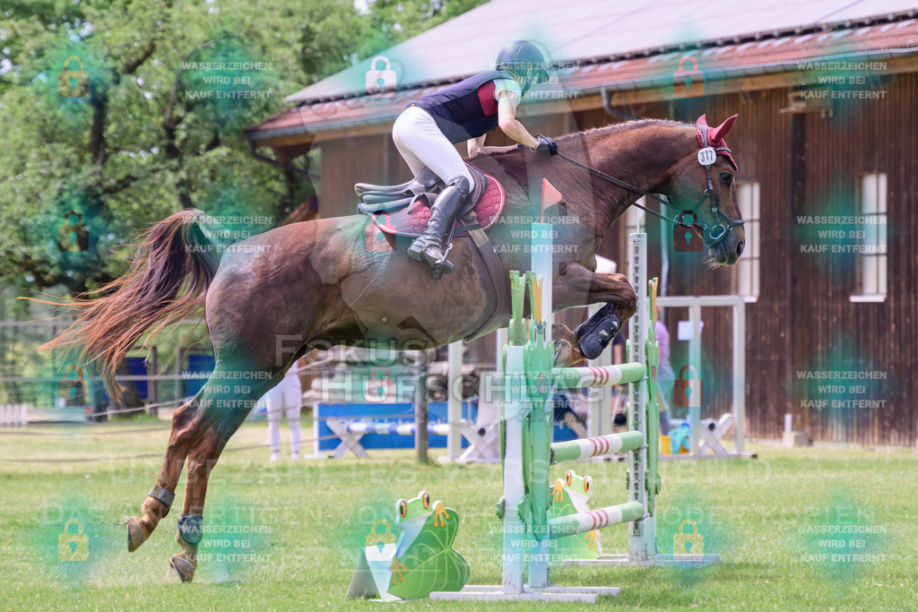 30052026-Forstinning-Prfg23-0068 | Fokus Hufschlag Fotografie - Realisiert mit Pictrs.com