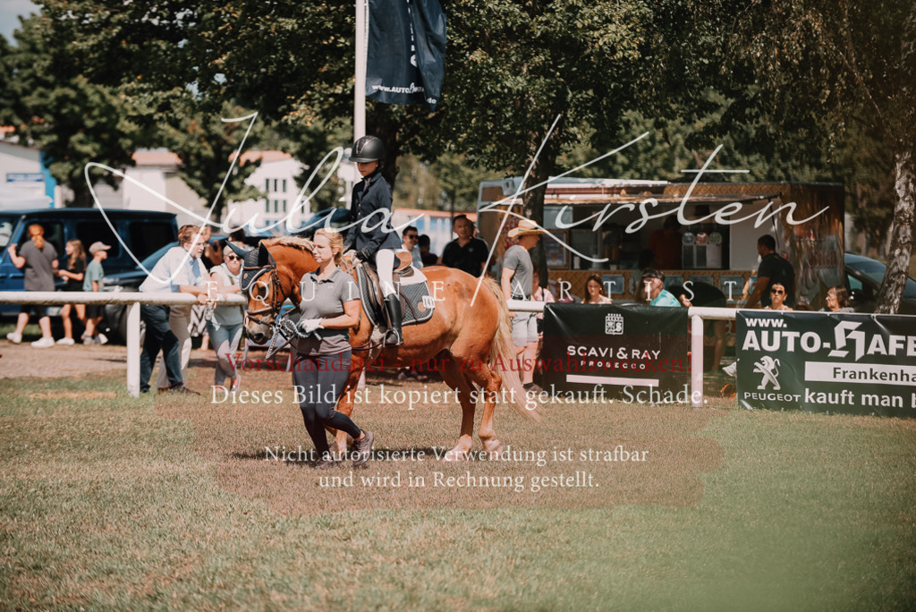 DSC_5988 | Pferde- und Turnierfotografie in Westsachsen. Pferdeportraits, Auftragszeichnungen und intuitive Kunst.