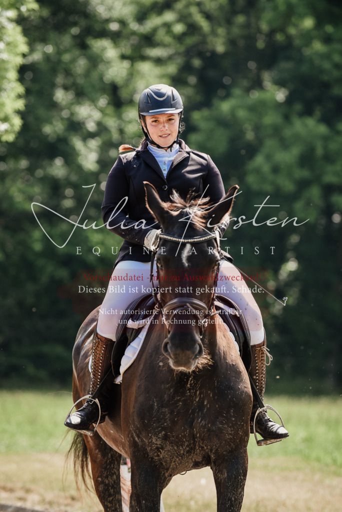 DSC_0152 | Pferde- und Turnierfotografie in Westsachsen. Pferdeportraits, Auftragszeichnungen und intuitive Kunst.