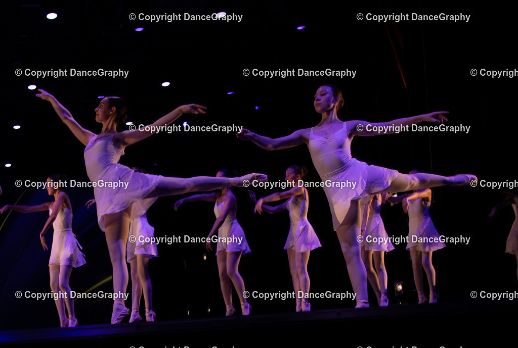 GPHY4049 | DanceGraphy - Realisiert mit Pictrs.com