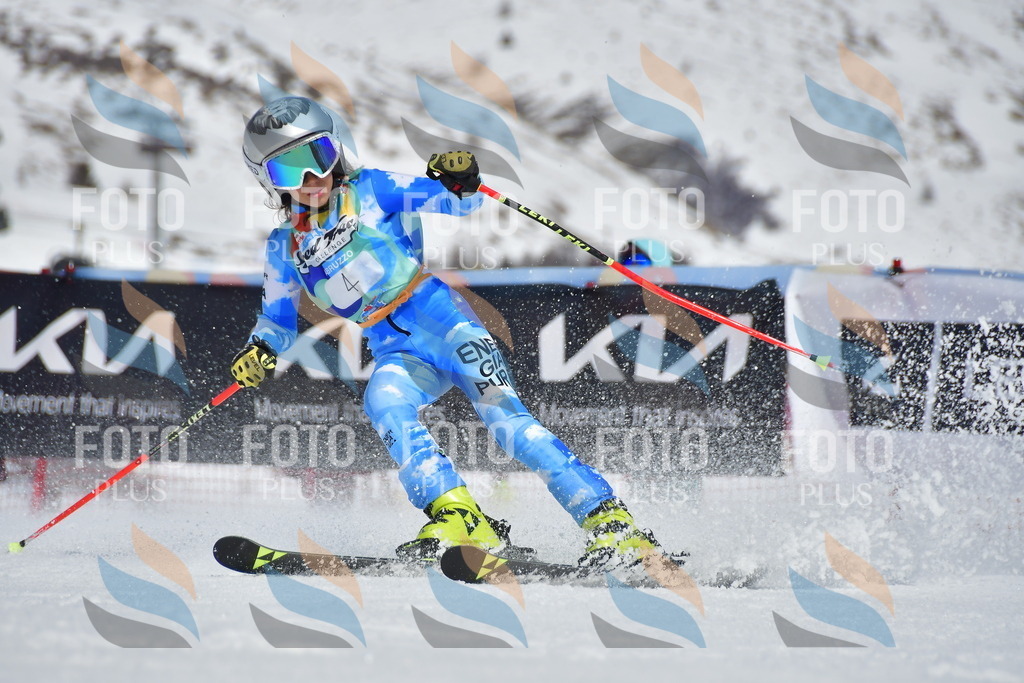 _DSC6719 | holidayphoto