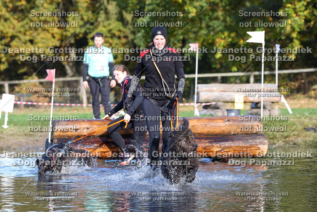 Dog Paparazzi - Strongdog 10-25-8620 | Dog Paparazzi Jeanette Grottendiek Fotografie & Videografie - Realisiert mit Pictrs.com