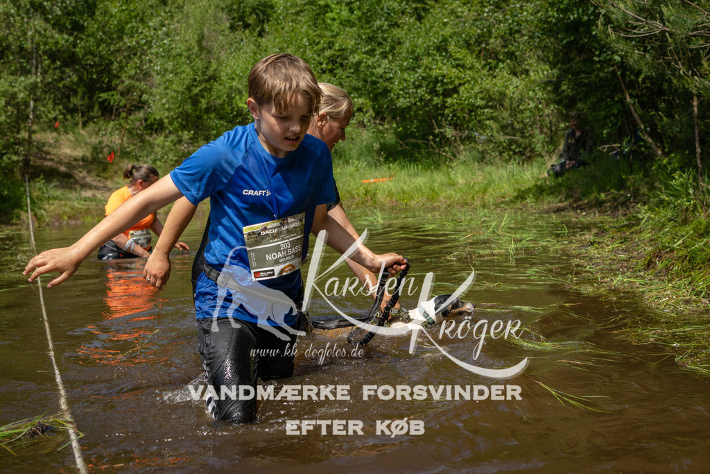 1255DKK993725 | kk-dogfotos