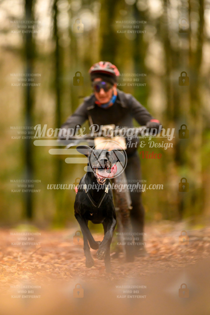 MompixPhotography_Habay2024_SA_Scooter-16 | PayLife