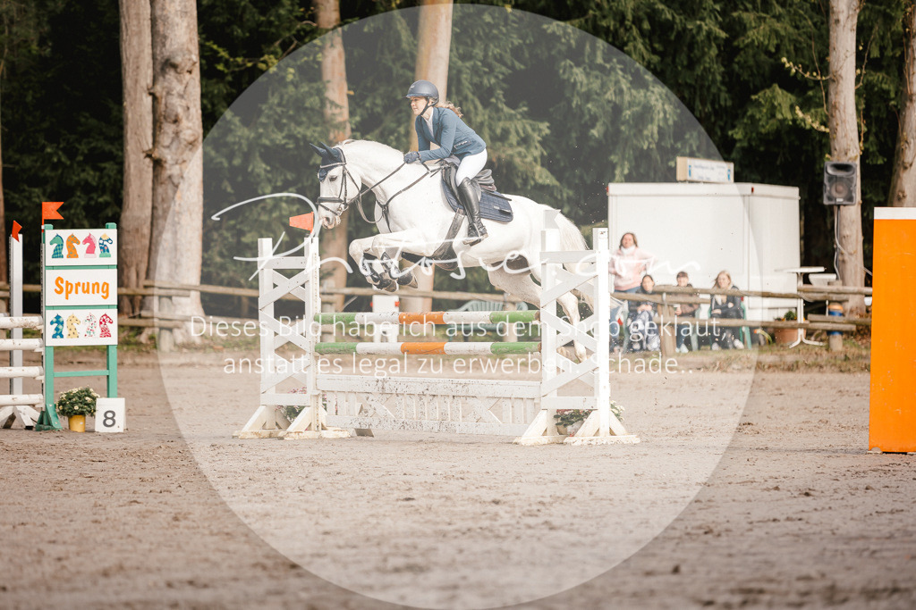 3I6A3265 | Stimmungsvolle Portraits und Reitsportfotografie im Ruhrgebiet und im Münsterland.

Pferdefotografie, Hundefotografie, Tierfotografie, Reportagen, Portraits von Tier und Mensch, Turnierfotografie in Bochum, Recklinghausen, Marl, Haltern am See, Dülmen.. - Realisiert mit Pictrs.com