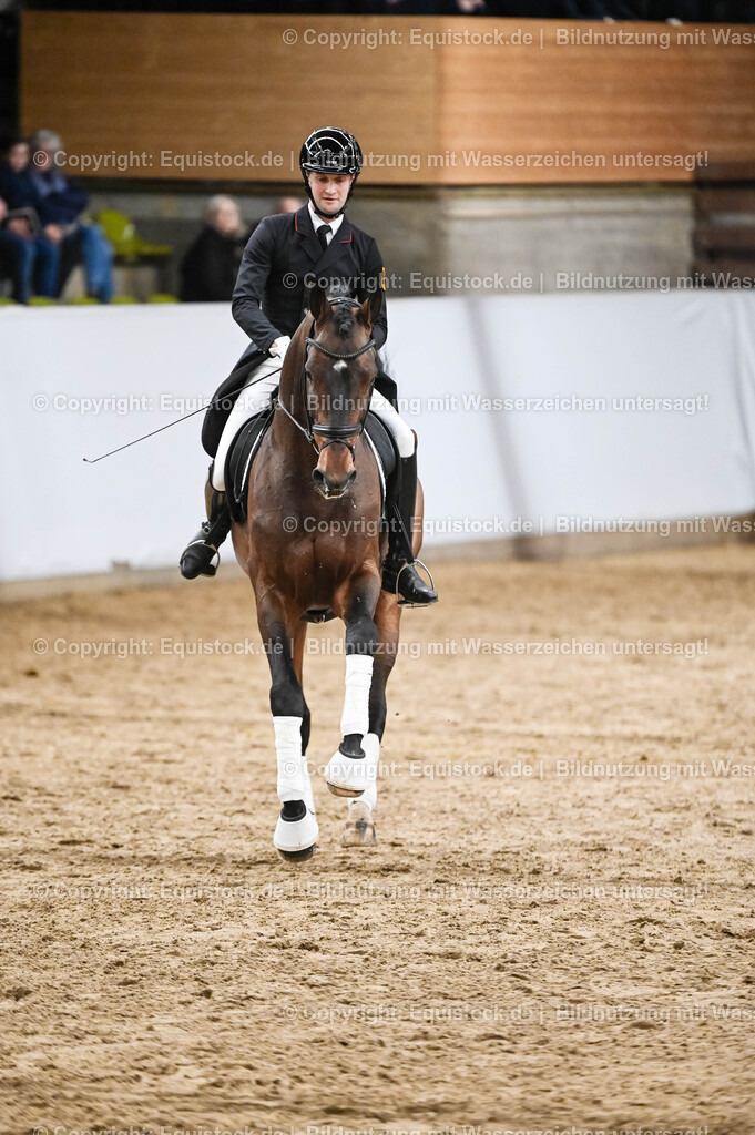 20260307_Hengstvorstellung-Marbach_0362 | equistock