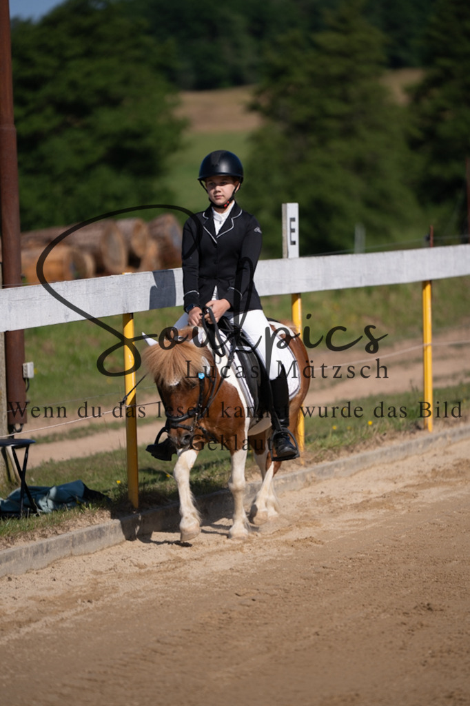 A7V07549 | Pferdefotograf