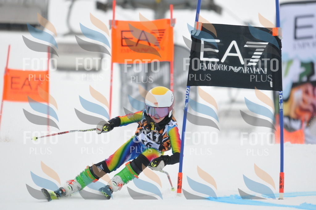 DSC_7510 | holidayphoto