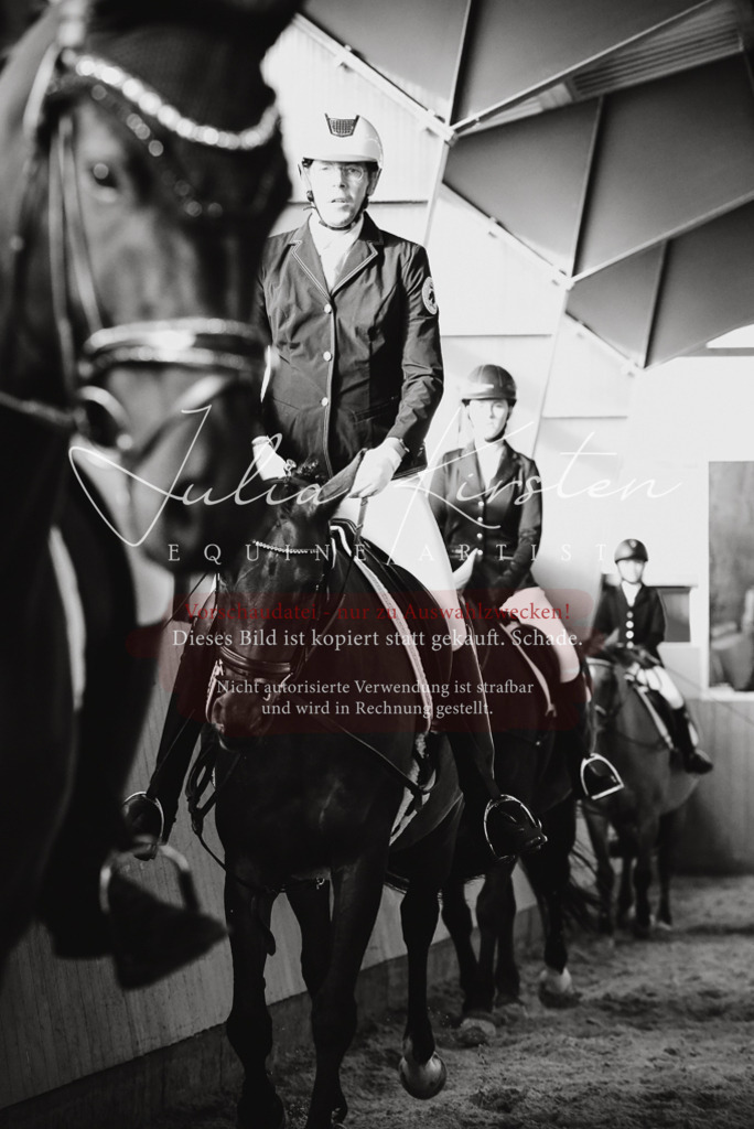 DSC_7573 | Pferde- und Turnierfotografie in Westsachsen. Pferdeportraits, Auftragszeichnungen und intuitive Kunst.