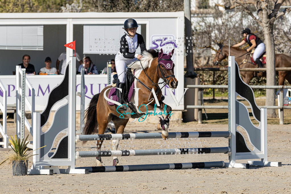 IMG_8503 | s-jay-photography - Realisiert mit Pictrs.com