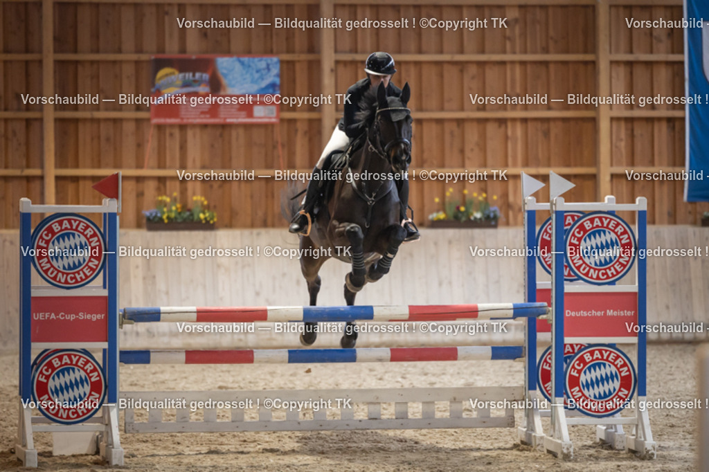 _D5A8593 | Emotionale Pferde- & People-Fotografie rund um Heidelberg, Leimen & Umgebung. Natürliche Fotos von Pferd, Mensch & Familie. Jetzt Termin sichern!