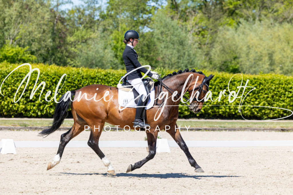 7I8A0213 | melanie-engelhardt-photography - Realisiert mit Pictrs.com