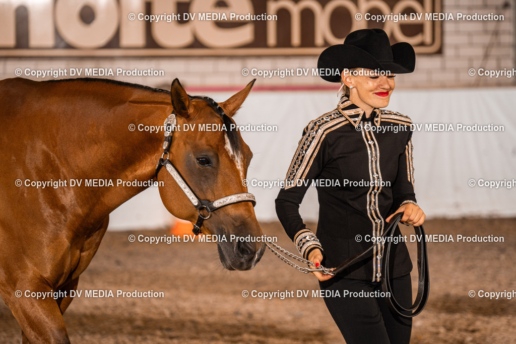 ZH100072 | dv-media-shop - Realisiert mit Pictrs.com