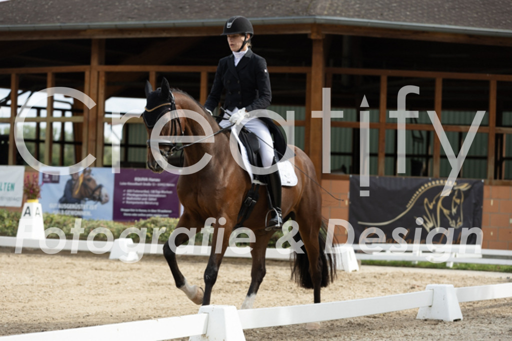 IMG_6568 | Creatify Fotografie