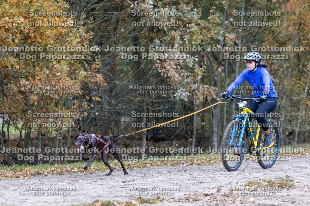 Dog Paparazzi - SD CaniX Championship 2025-264 | Dog Paparazzi Jeanette Grottendiek Fotografie & Videografie - Realisiert mit Pictrs.com